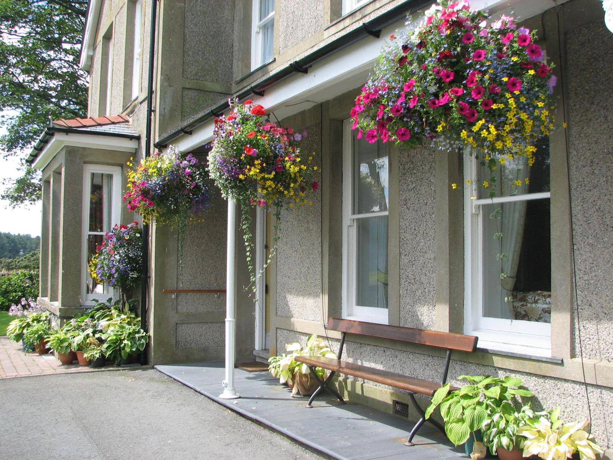 Gwrach Ynys Country Guest House Harlech Eksteriør billede